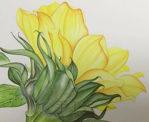 颜料篇丨如何掌控水彩画的水份? 第17步