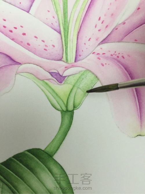 颜料篇丨如何掌控水彩画的水份? 第18步