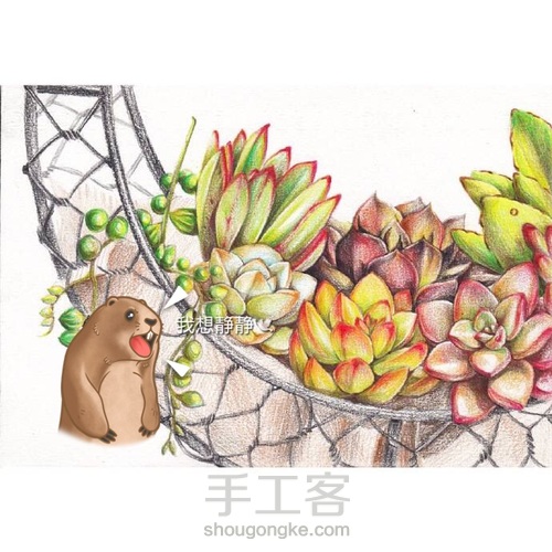 多肉 第5步