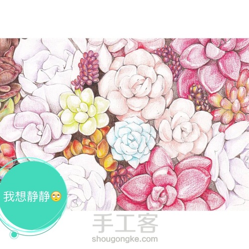 多肉 第2步