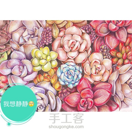 多肉 第4步