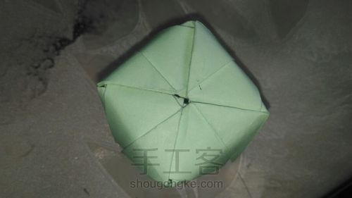 川崎玫瑰（实拍） 第47步