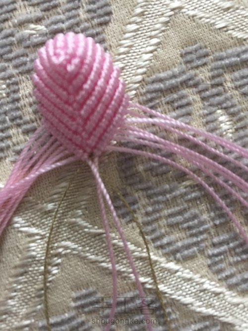 花瓣的金边 第9步