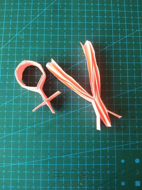 男生♂女生♀👧👦 第16步