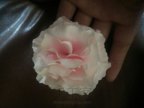 粉色情缘 第1步