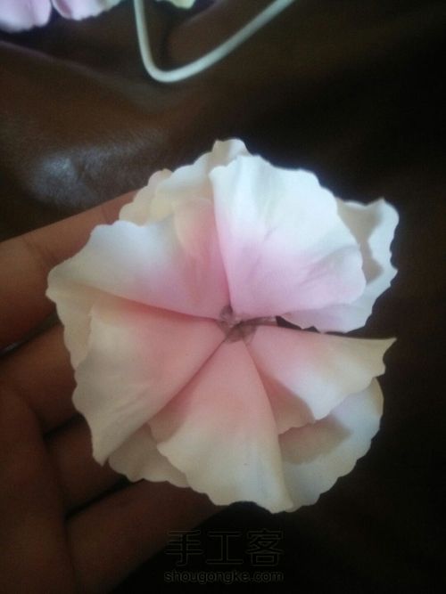 粉色情缘 第10步