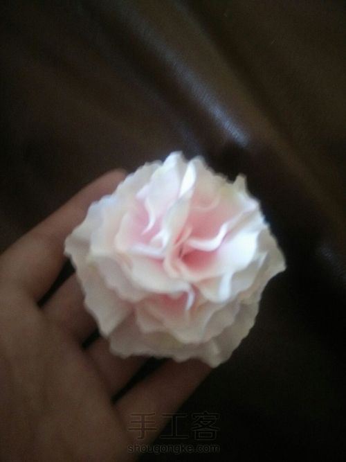 粉色情缘 第14步