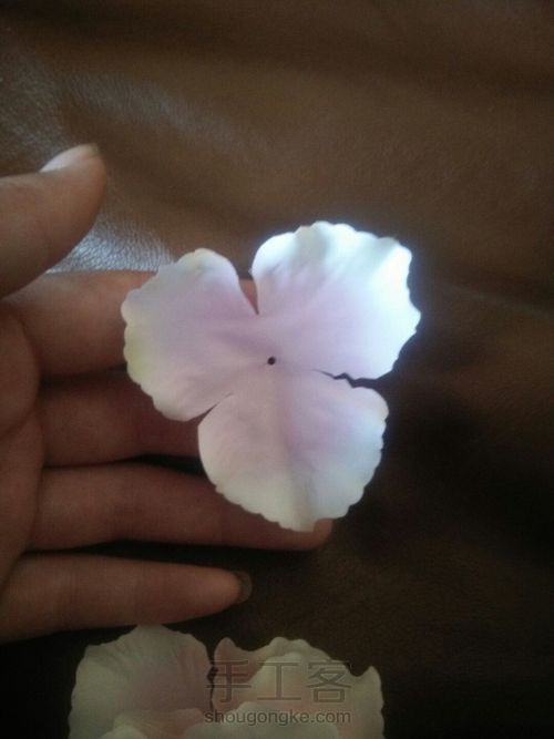 粉色情缘 第3步