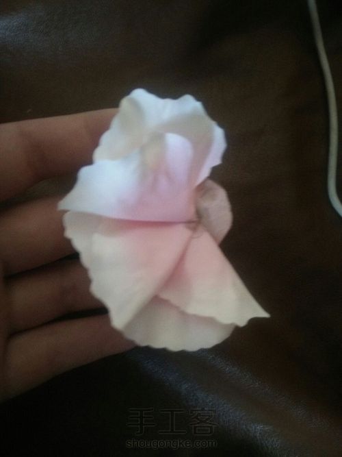 粉色情缘 第8步