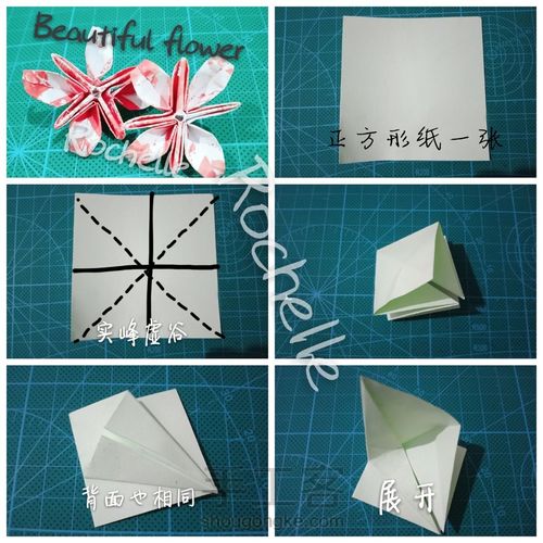 【未知名的漂亮小花🌸】 第1步