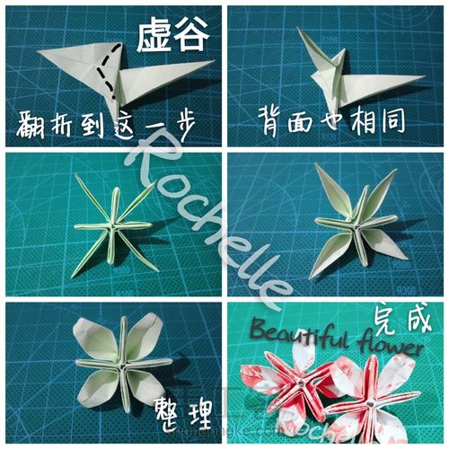 【未知名的漂亮小花🌸】 第3步