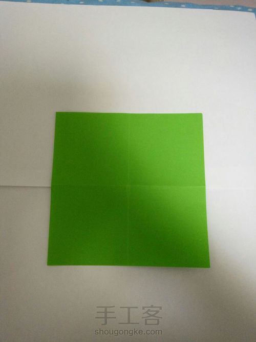 我的玫瑰花My rose 第1步