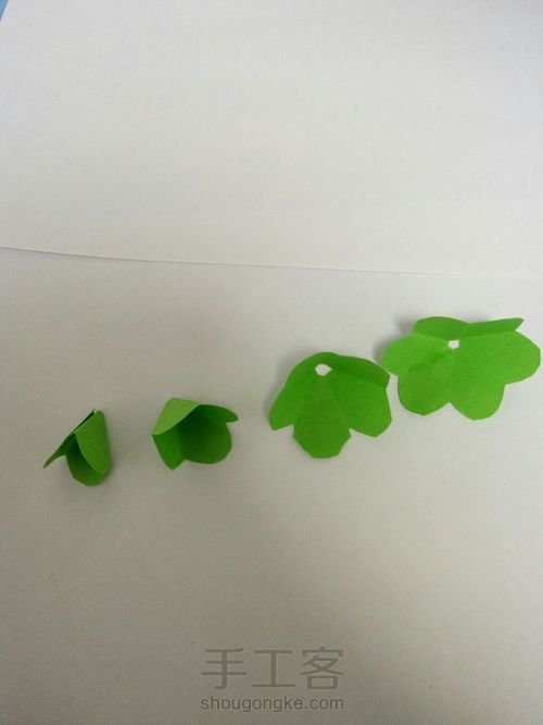 我的玫瑰花My rose 第12步