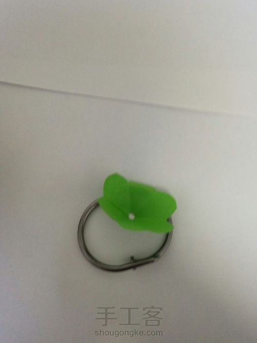 我的玫瑰花My rose 第13步