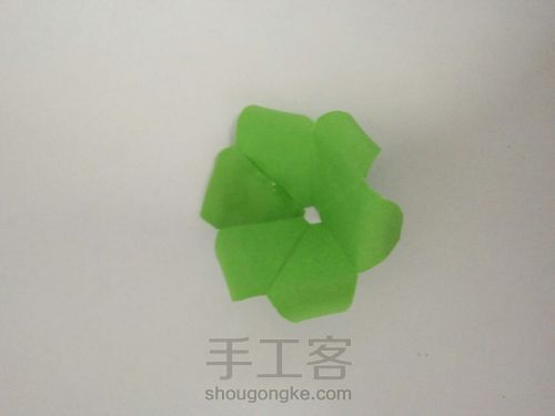 我的玫瑰花My rose 第14步