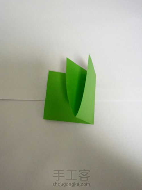 我的玫瑰花My rose 第2步