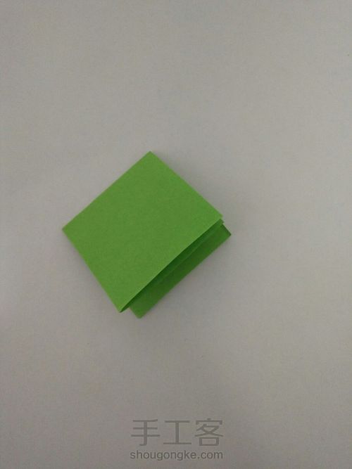 我的玫瑰花My rose 第4步