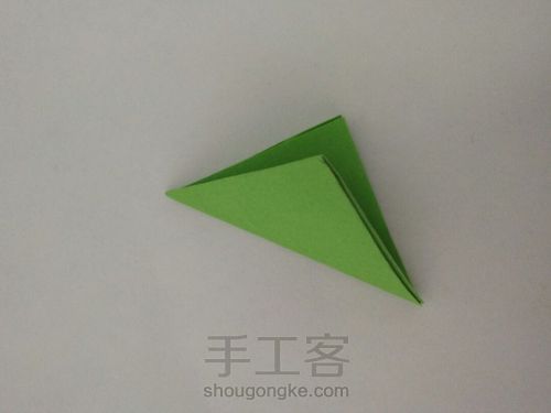 我的玫瑰花My rose 第5步