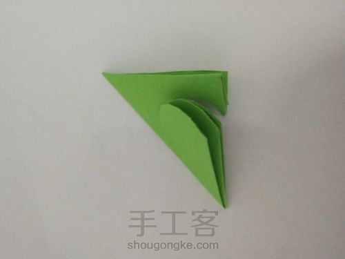 我的玫瑰花My rose 第6步