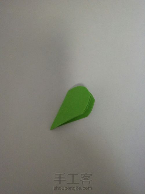 我的玫瑰花My rose 第7步