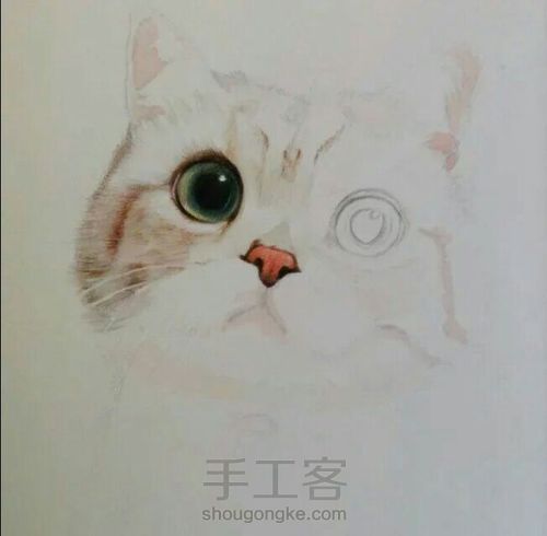 萌萌哒的猫咪 第1步