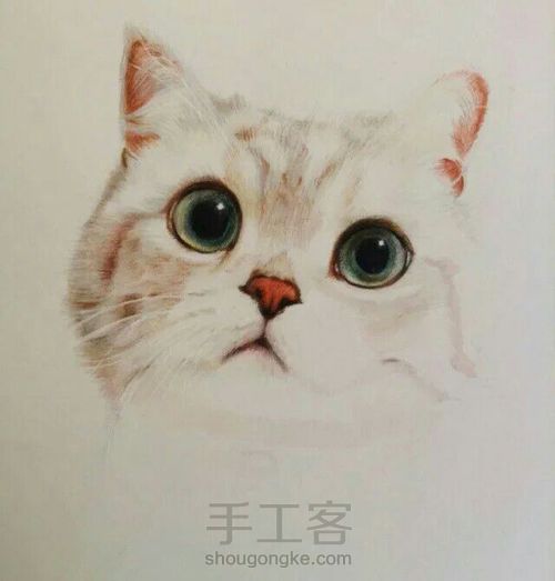 萌萌哒的猫咪 第5步