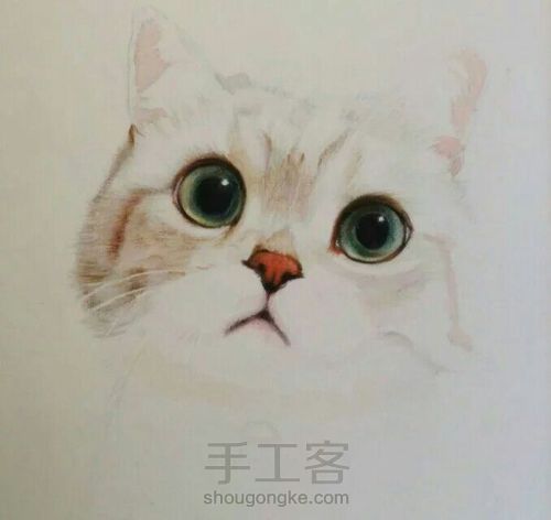 萌萌哒的猫咪 第6步