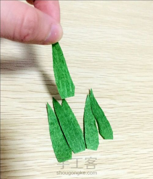康乃馨 第9步