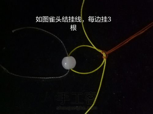 枯叶蝶 第2步