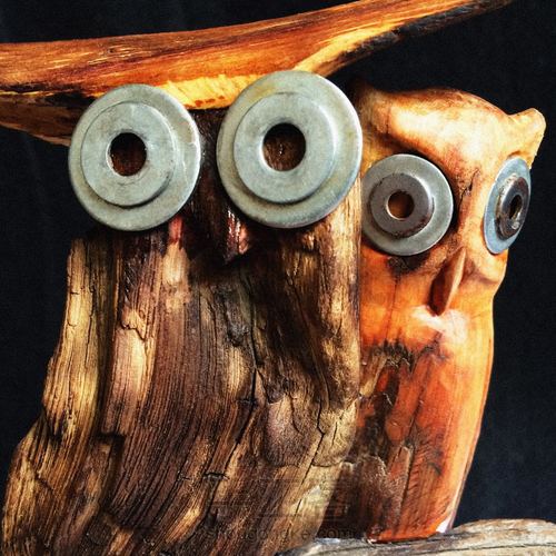 一对夜枭的组成 第6步