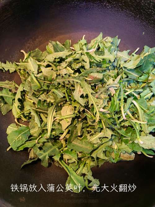 蒲公英茶 第3步