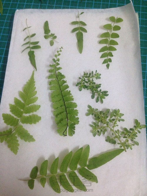 纸滕花篓 第7步