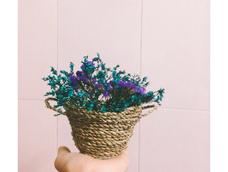 装干花 装干花