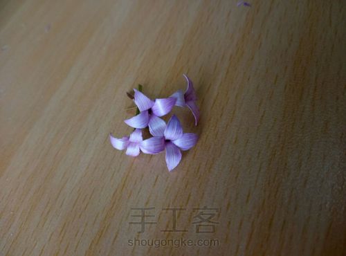 麦秸丁香花（上） 第8步