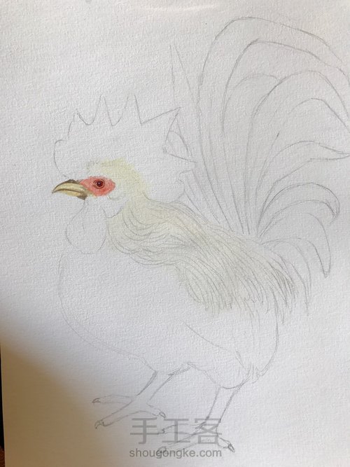 尝试画鸡 第3步