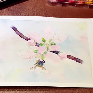 桃花醉