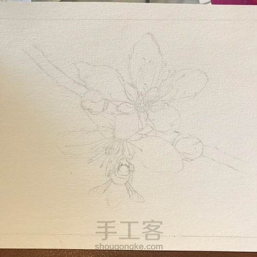 桃花醉 第1步
