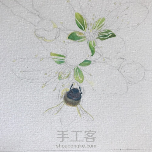 桃花醉 第6步