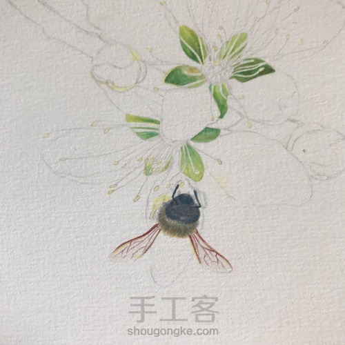 桃花醉 第7步
