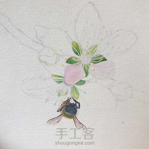 桃花醉 第10步