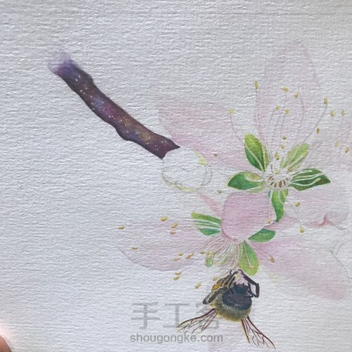 桃花醉 第17步