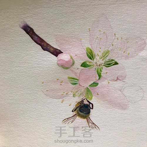 桃花醉 第18步