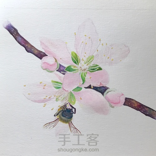 桃花醉 第24步