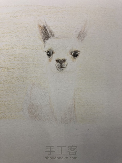 二货小可爱 第5步