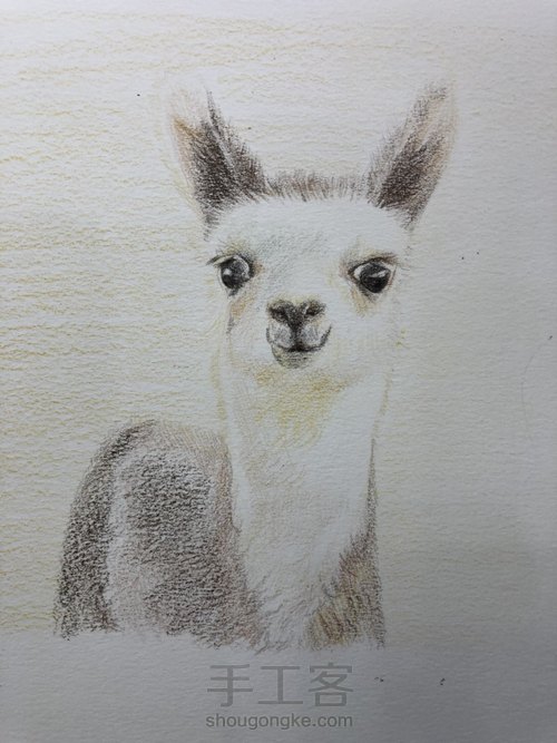 二货小可爱 第7步