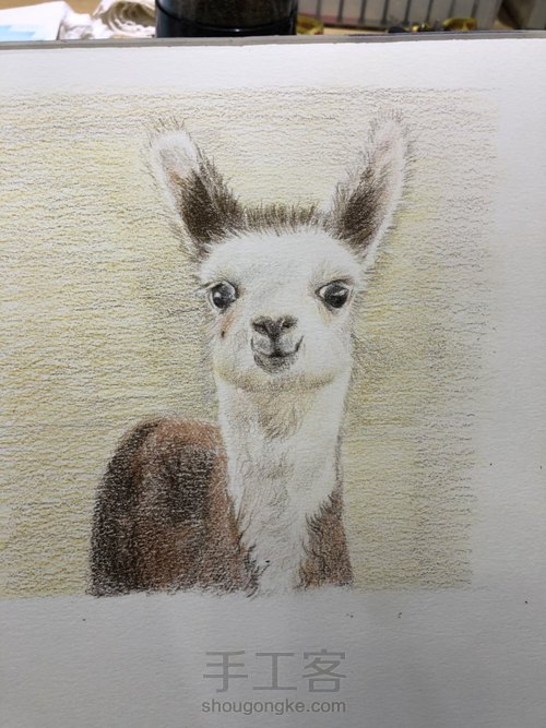 二货小可爱 第9步