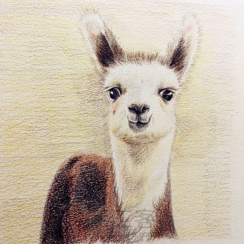 二货小可爱 第10步