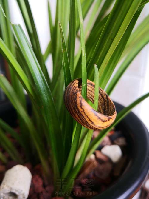 木制戒指 第14步