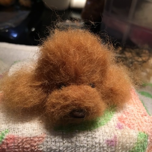泰迪植毛 羊毛毡可爱小挂件 第9步