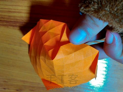 有叶子的玫瑰哦 第10步